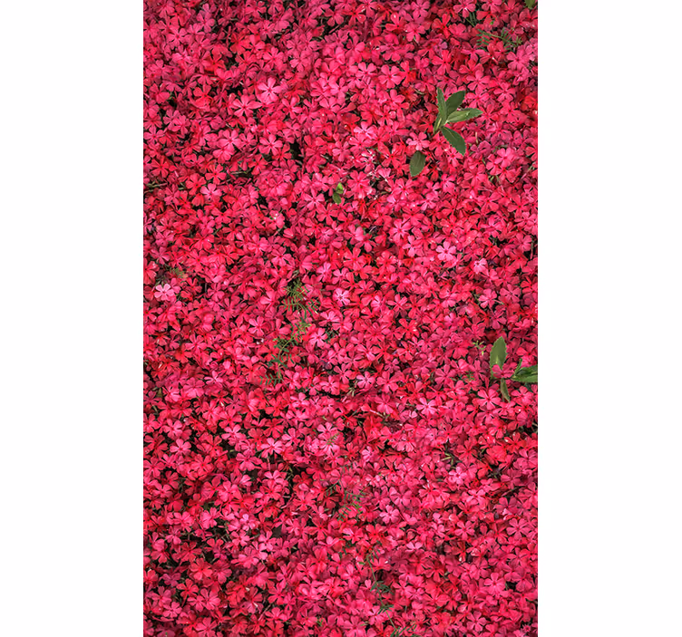 Rollo Fenster Blumen und Pflanzen lebendige fülle - TenStickers