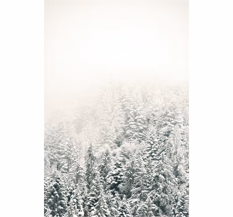 Rollo Fenster Baum schneebedeckte kiefern - TenStickers