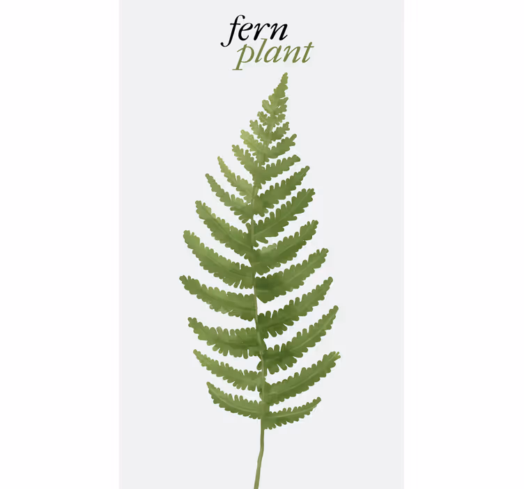 Rollo Fenster Blumen und Pflanzen farn grüne pflanze - TenStickers