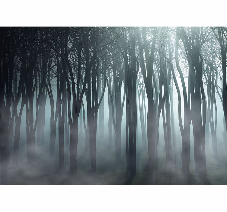 Rollo Fenster Baum nebligen wald silhouette - TenStickers