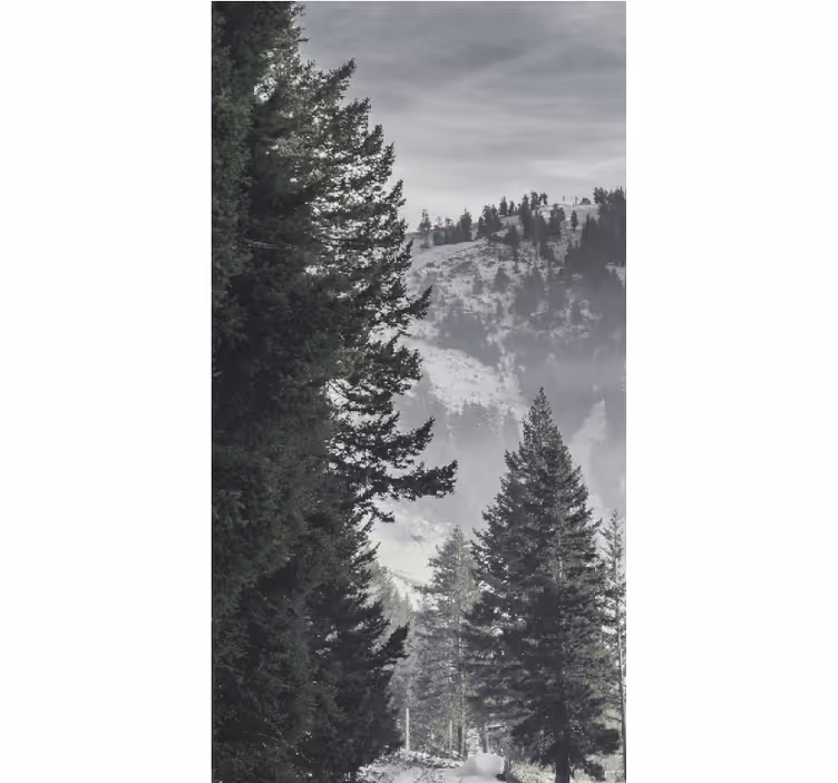 Rollo Fenster Baum majestätische bergkiefern - TenStickers
