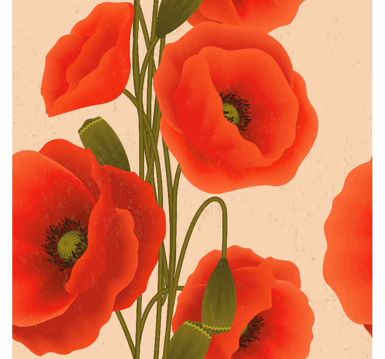 Blumen und Pflanzen Rollos mohnblumen - TenStickers
