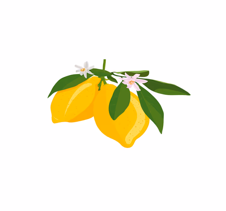 Platzset Zitrusfrüchte Blumige zitrone - TenStickers