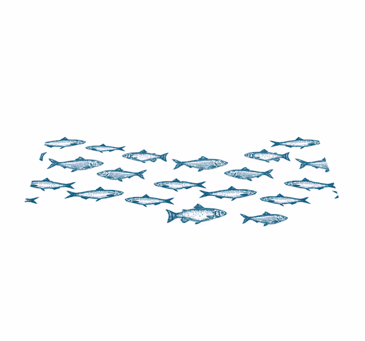 Tischset rechteckig Schule der fischwelle - TenStickers