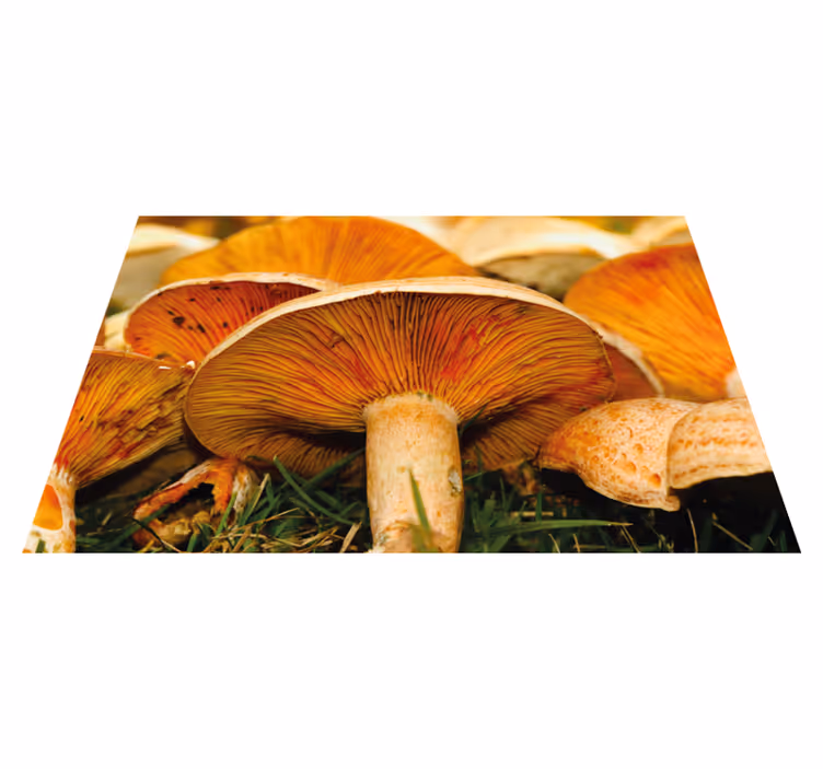 Tischsets originell pilze mit ramen - TenStickers