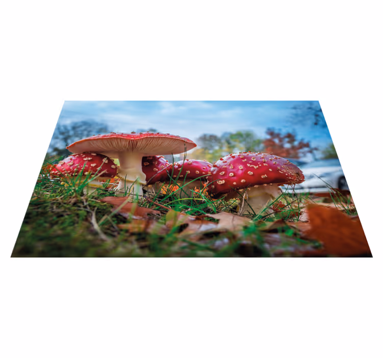 Tischset modern pilz kulinarische szenerie - TenStickers