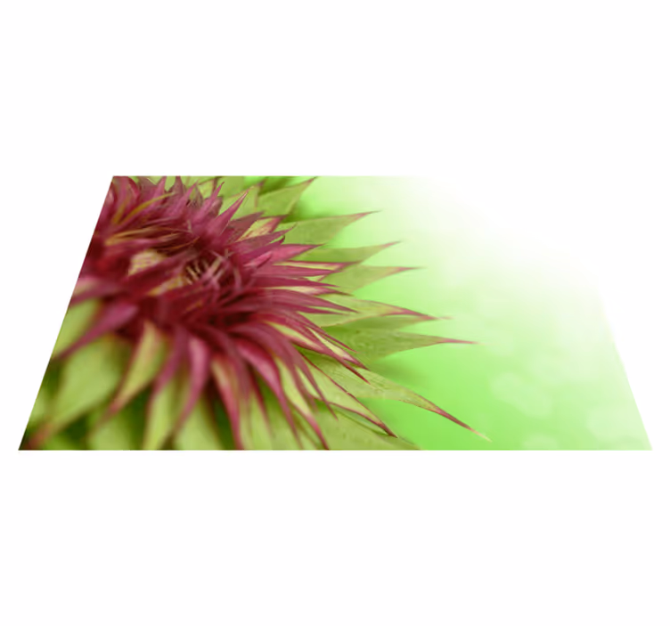 Tischset elegant distel - TenStickers