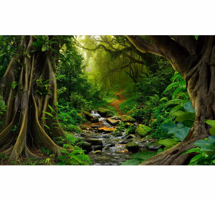 Fototapete wald tropische wald-oase - TenStickers