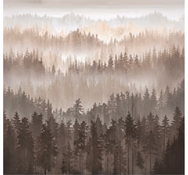 Fototapete landschaft holzschichten im wald - TenStickers