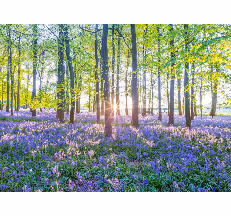 Fototapete wald im modernen naturstil - TenStickers