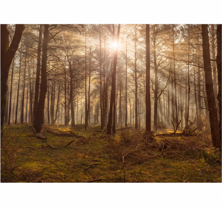 Fototapete wald goldene tierwelt lounge - TenStickers