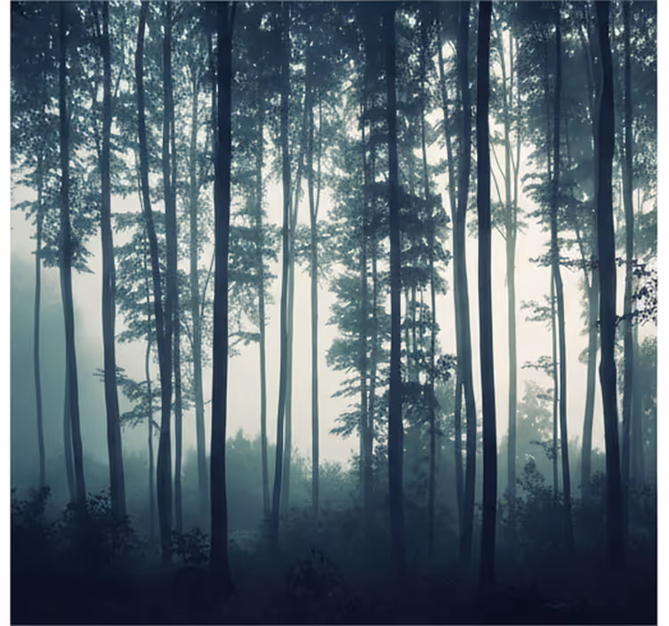 Fototapete wald zen aus dem gemalten wald - TenStickers
