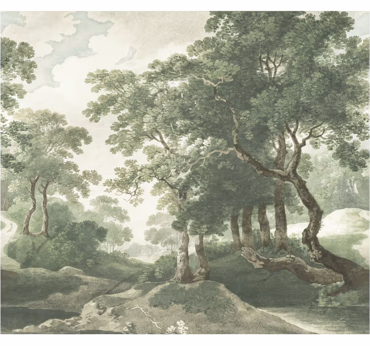 Fototapete wald klassische zeitlose natur - TenStickers