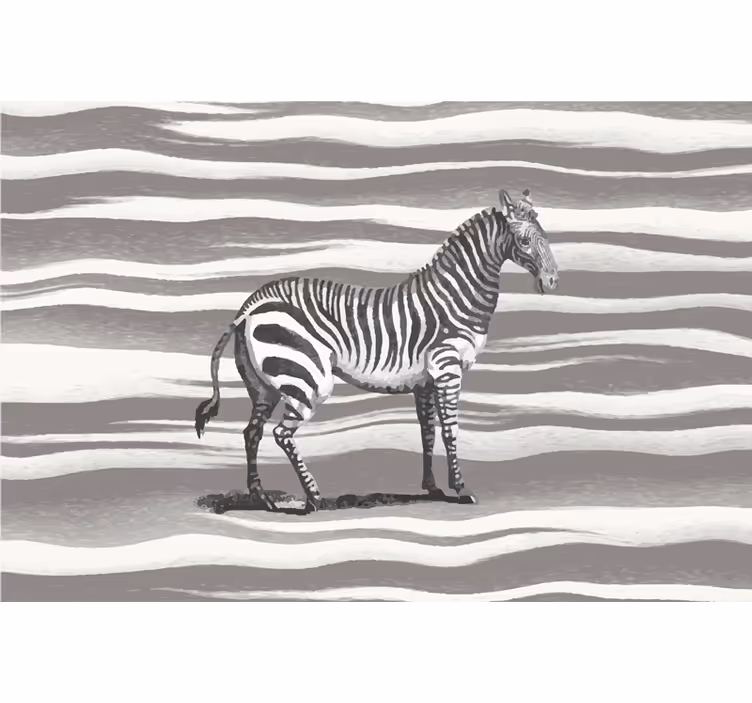 Fototapete afrikanisch vintage zebra illustration - TenStickers