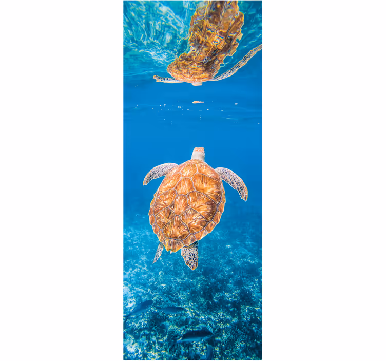 Fototapete badezimmer mit schöner schildkröte unter wasser - TenStickers