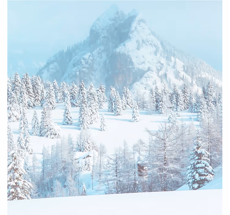 Fototapete blau winterästhetik fotografie - TenStickers
