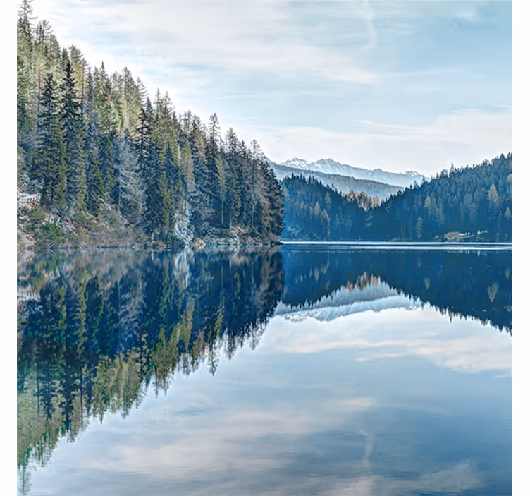 Fototapete eingang naturfluss im wald - TenStickers
