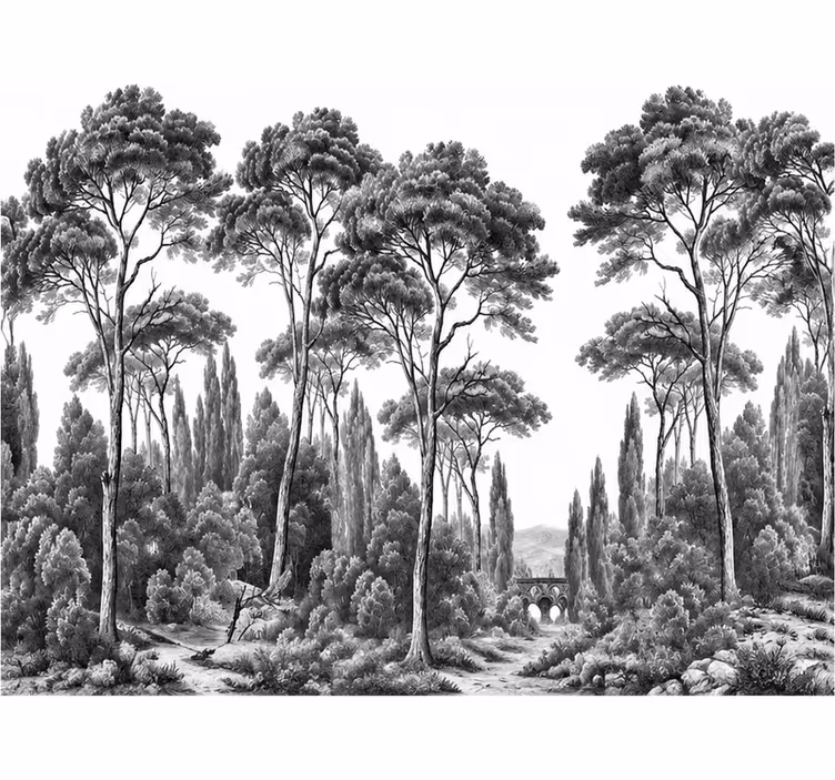 Fototapete natur schwarz und weiß - TenStickers
