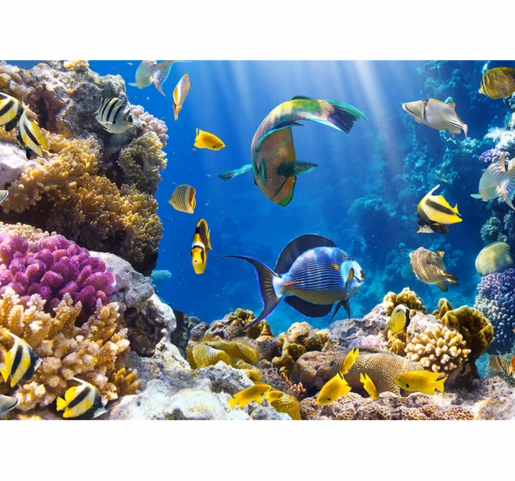 Fototapete Meer unterwasser-korallenszene - TenStickers
