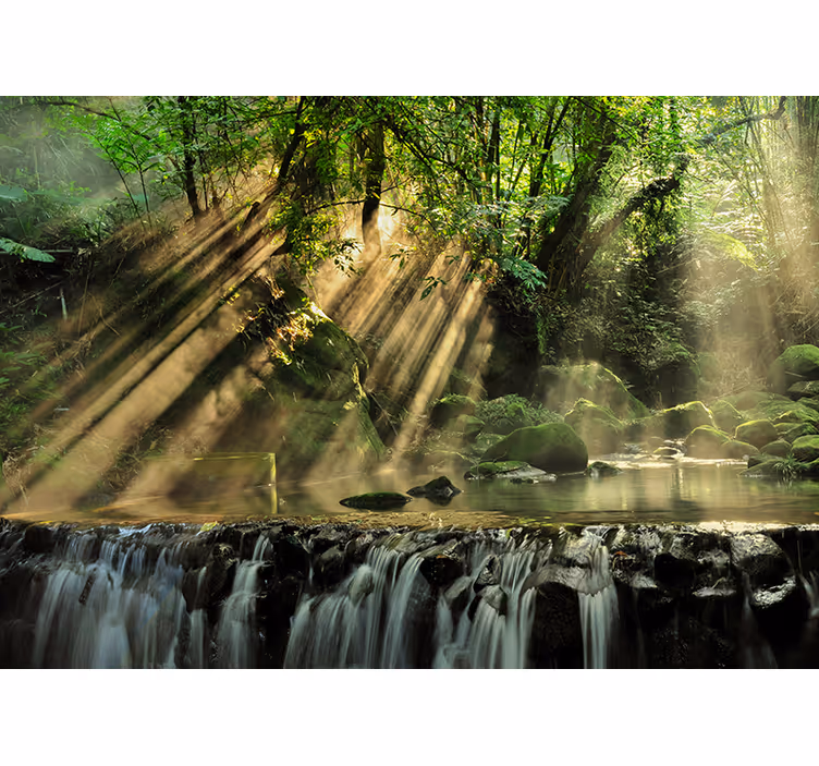 Fototapete Wald sonnenbeschienener waldwasserfall - TenStickers
