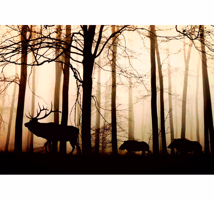 Waldtiere Wald Fototapete - TenStickers