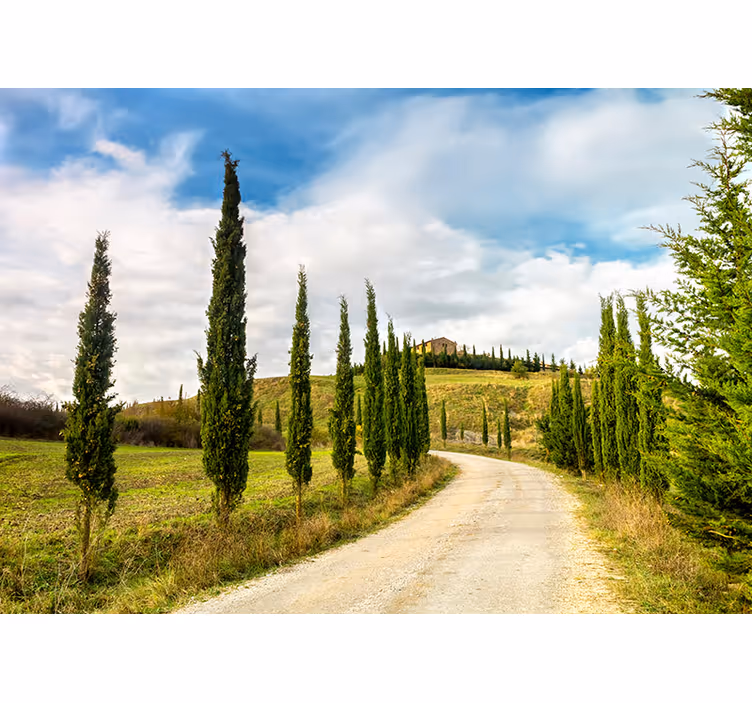 Toskana landschaft Fototapete - TenStickers