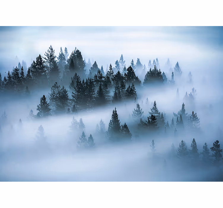 Morgennebel Wald Wandtapete - TenStickers