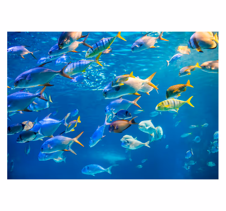 Fototapete tiere unterwasser fischschwarm - TenStickers