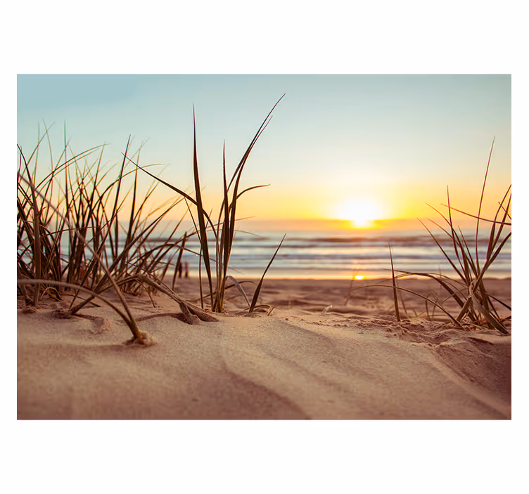 Fototapete Meer Sonnenuntergang und Strand - TenStickers