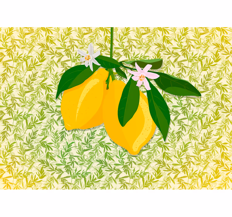 Fototapete blumen zitronenbaumblüte - TenStickers