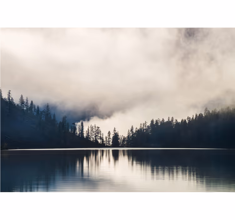 Fototapete Landschaft spiegelung im nebligen wald - TenStickers