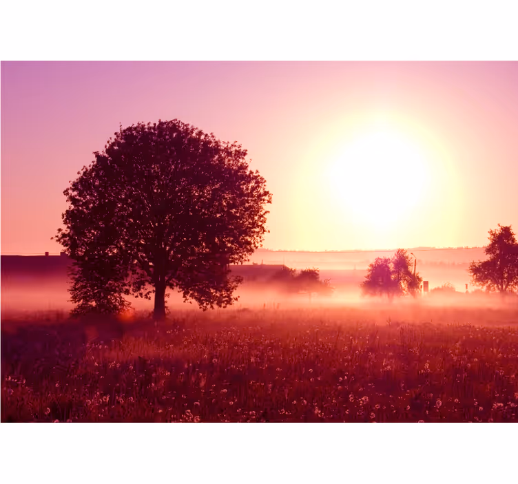 Fototapete natur mit silhouettiertem baum im sonnenuntergang - TenStickers