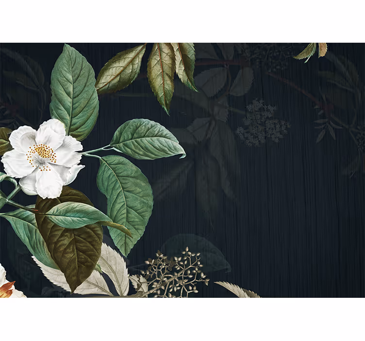 Fototapete Blumen elegante weiße blüte - TenStickers