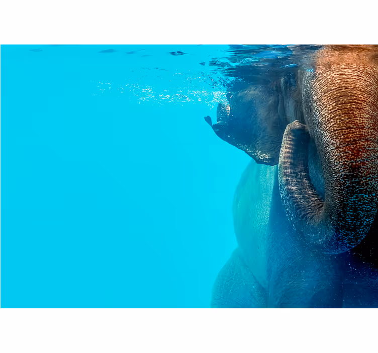Fototapete Tiere majestätischer unterwasserelefant - TenStickers