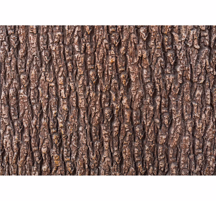 Fototapete Holz Holzbeschaffenheit der baumrinde - TenStickers