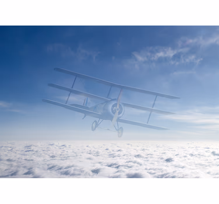 Fototapete Fahrzeuge vintage-flugzeugflug - TenStickers
