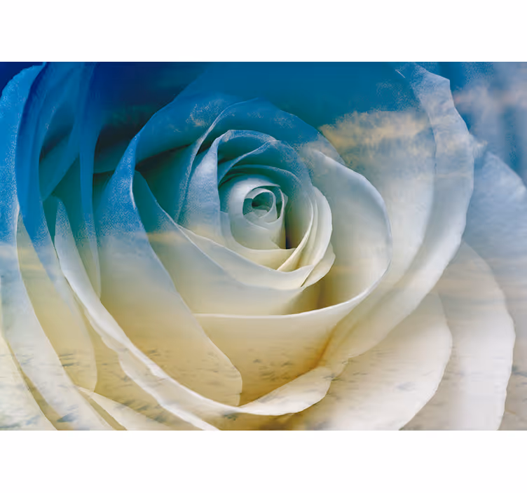 Fototapete blumen roseblüten eleganz - TenStickers