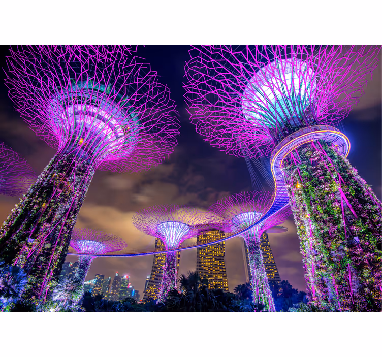 Fototapete Schöne lichter von singapur stadt - TenStickers