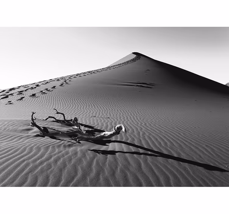 Fototapete Wüste fußabdrücke im sand - TenStickers