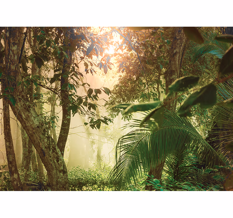 Fototapete natur sonnenwaldansicht - TenStickers