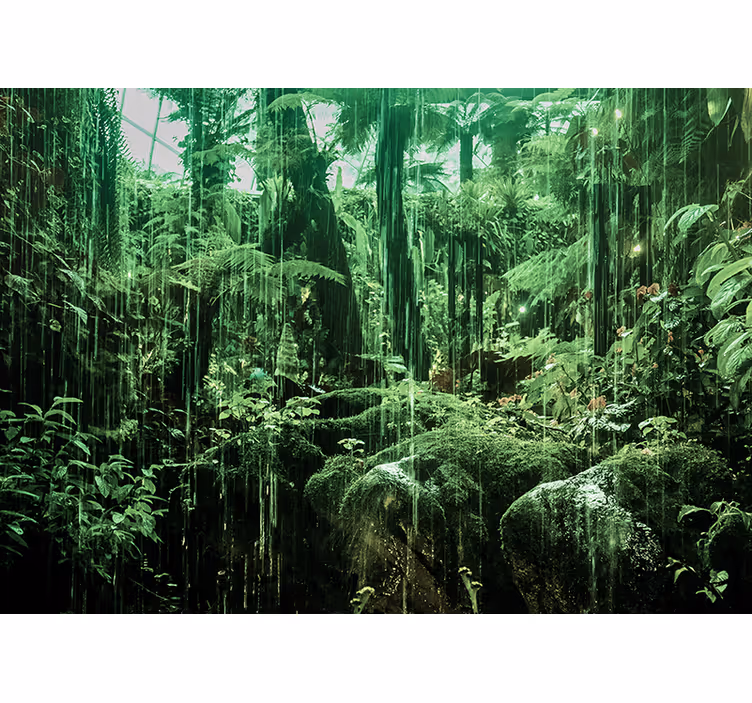 Fototapete Wald Amazonisches tempusleben - TenStickers