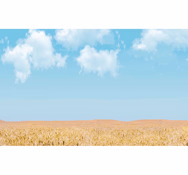 Fototapete Natur Polnischer ländlicher blauer himmel - TenStickers