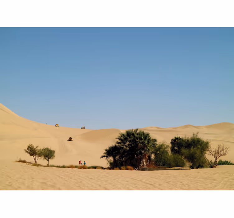 Fototapete Wüste sanddünenoase - TenStickers