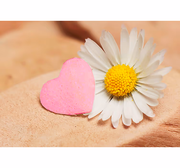 Fototapete Liebe herz blume blüte - TenStickers