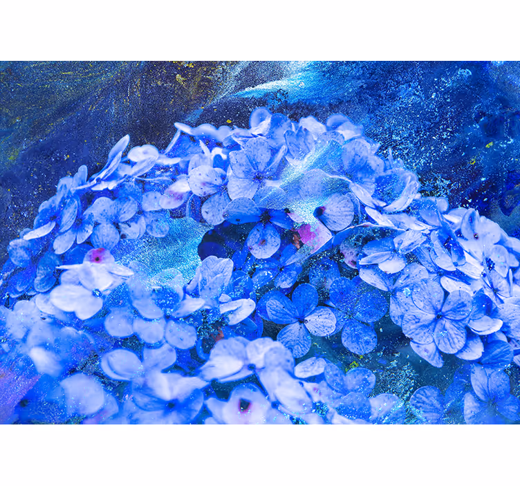 Fototapete Andere Blumen Blaue blumen - TenStickers