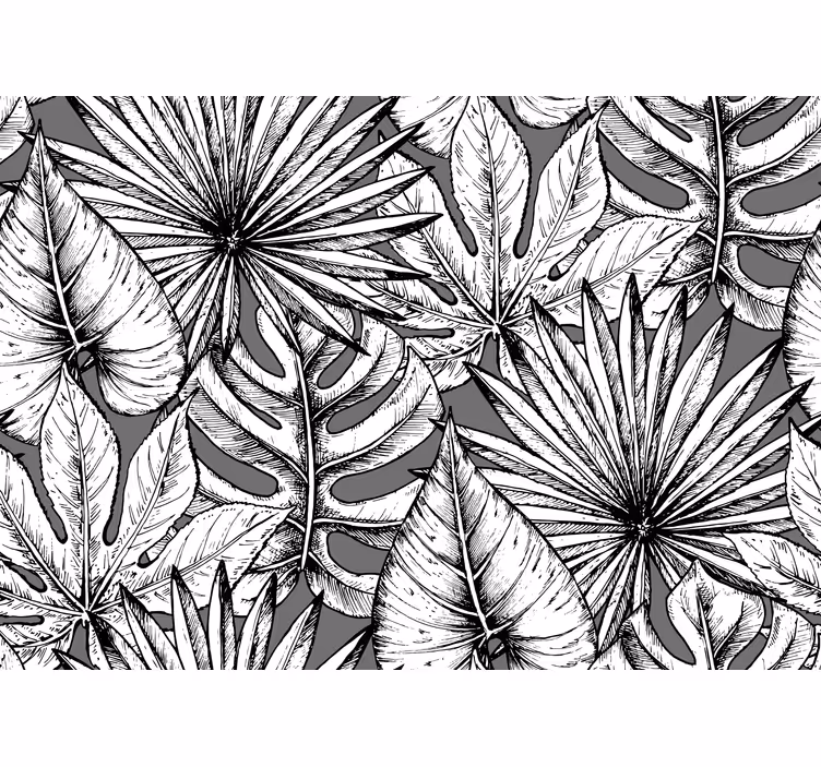 Fototapete Andere Blumen Dschungel schwarz weiß - TenStickers