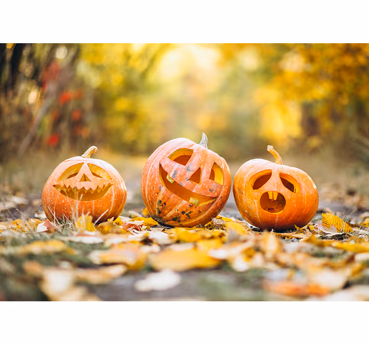 Fototapete Halloween geschnitzte kürbisgesichter - TenStickers
