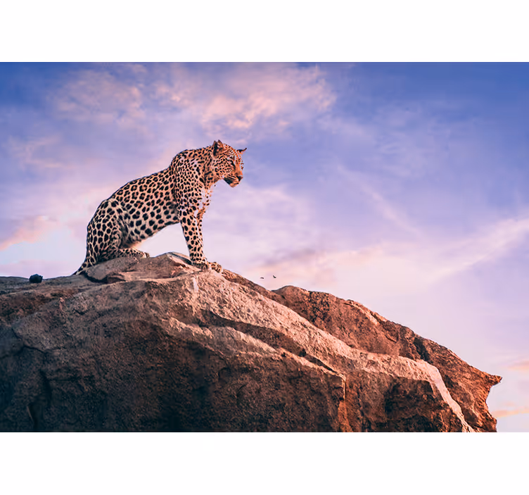 Fototapete Tiere Leopard sonnenuntergang - TenStickers