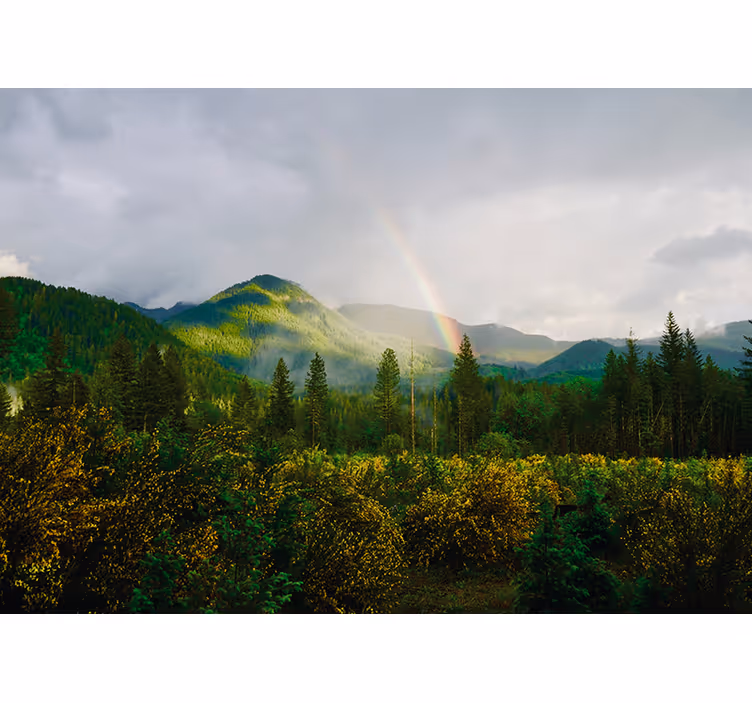 Fototapete Natur blick auf die berglandschaft - TenStickers