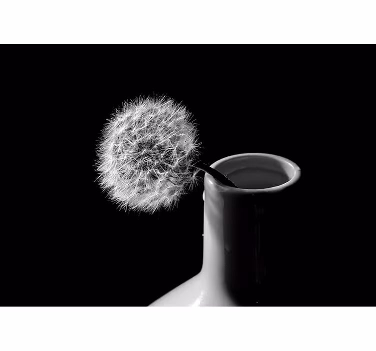 Fototapete Pusteblume löwenzahn in der vase - TenStickers